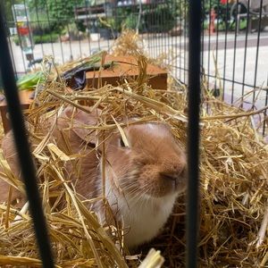 Meet your Posher, Hannah